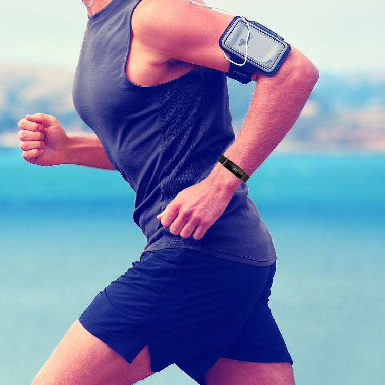 For Fitbit Inspire 2 Milanese Replacement Wrist Strap Watchband, S, L