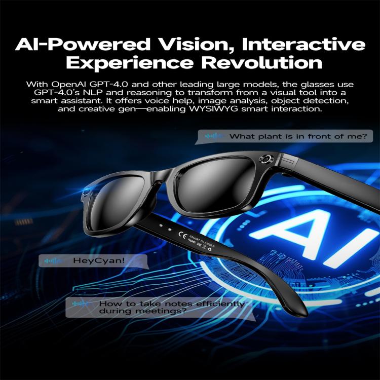 W610 Smart Glasses, Support AI Photo Recognition / AI Smart Translation / Bluetooth Call