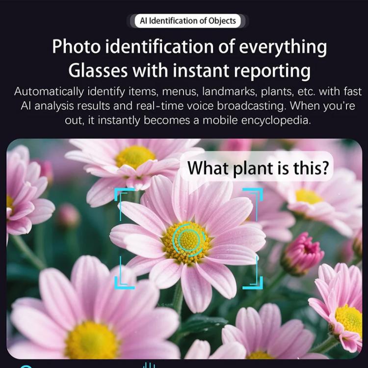 M02S Smart Glasses with 8MP HD Camera, 1080P Video, AI Voice Assistant, Recording, Translation, Transparent, Sunglasses, Photochromic, Transparent+Sunglasses, Transparent+Photochromic