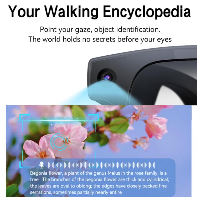 AIMB-G2 Smart Glasses Support 8MP Camera, AI Translation, Human Recognition & Audio Recording